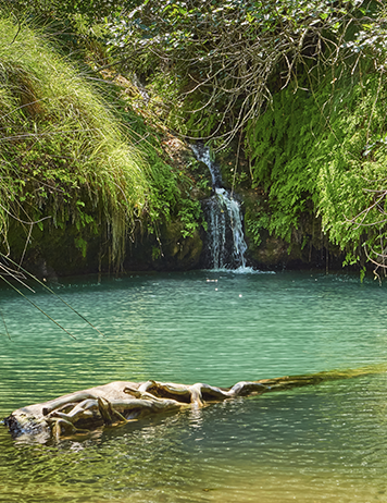 Patrimonio y Naturaleza
