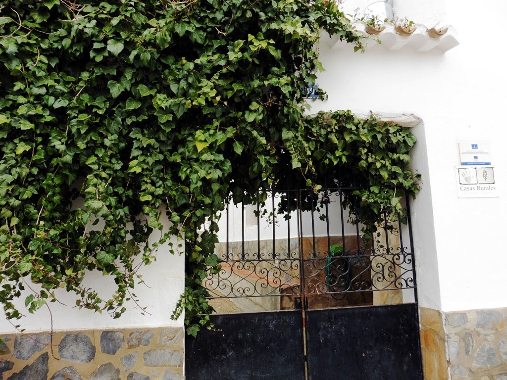 CASA RURAL EL ABEJORRO | lamanchuelarural.com