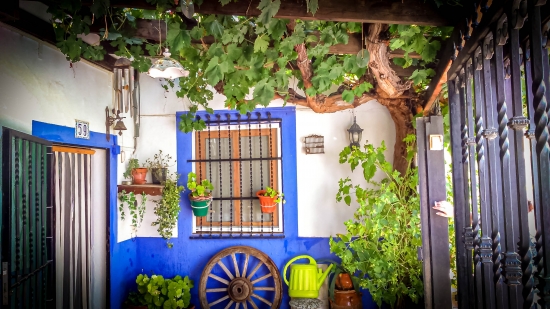 CASA CUEVA ALEGRIA