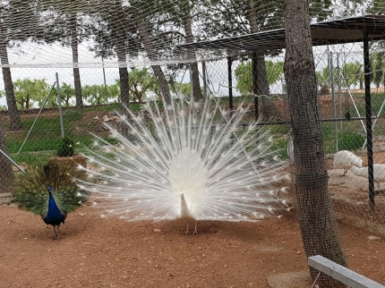 BIOPARQUE LA ROCHA