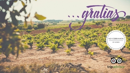 BODEGAS GRATIAS